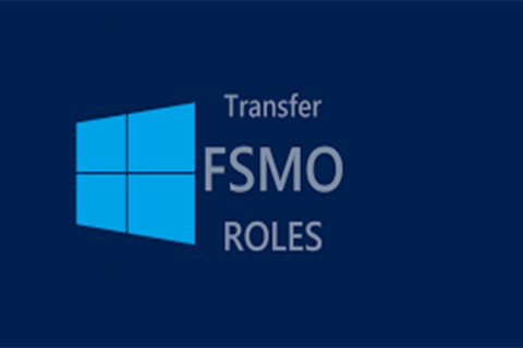 Seize & Transfer FSMO Roles